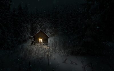 Sleepless Winter Nights