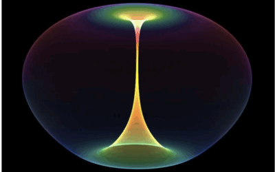 The Torus